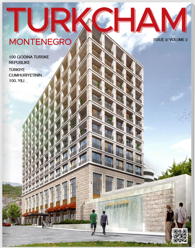 TurkCham Dergi Sayı 2