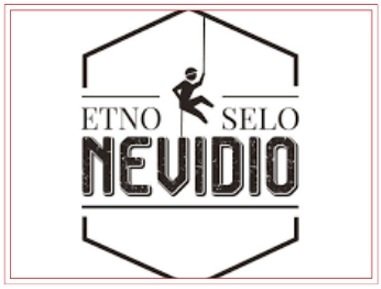 Nevidio
